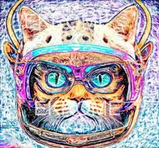 Digital image picture photo wallpaper background