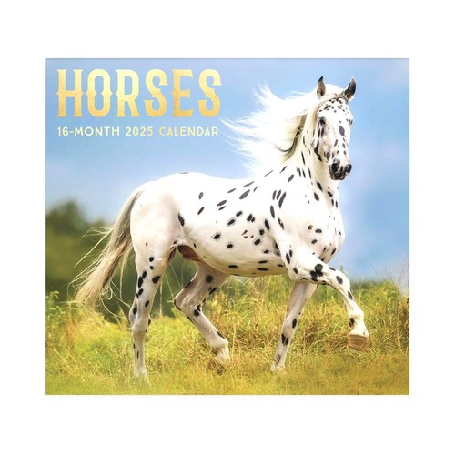 horses-2025-full-size-wall-calendar-for-planning-scheduling-and