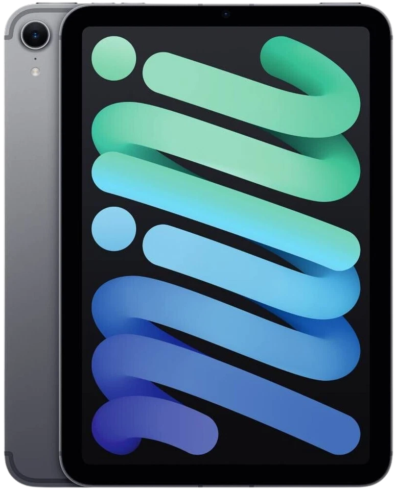 Apple iPad mini 7 2024 5G 256 GB grau Tablet iOS