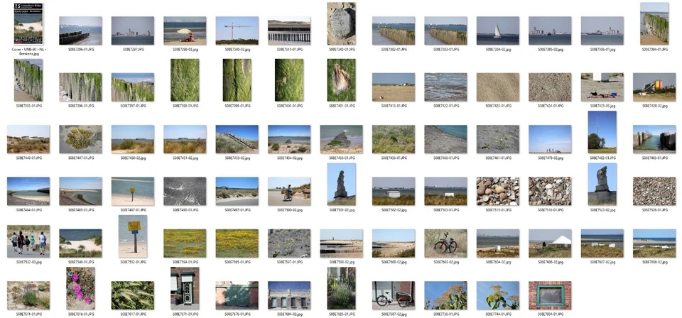 1025 Lizenzfreie Profi-Bilder/Fotos Niederlande (Royalty Free) 4 DVDs! UVP 310,- - Bild 2 von 4