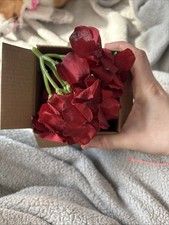 Hydrangea Silk Flowers, Artificial, 10 Pack, With Stems