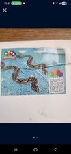 Inflatable Snake Decorations for Pool or Party