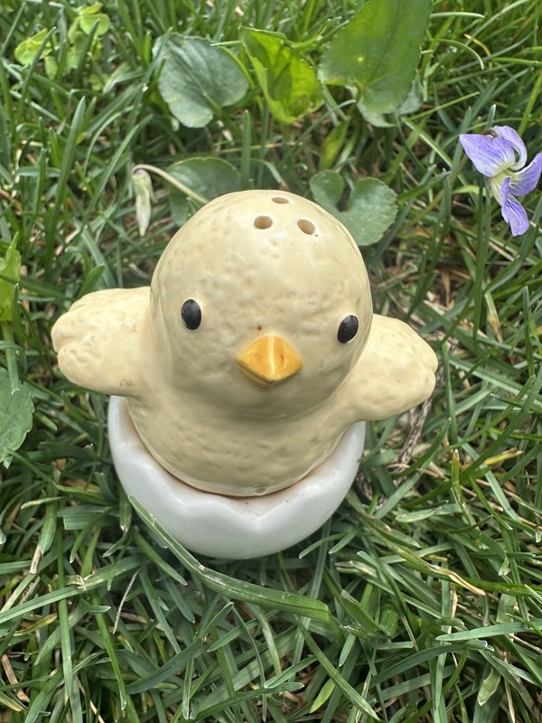 Baby Chick Salt and Pepper Shakers About To Hatch 