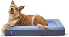Dog Bed, Plush Memory Foam, Small, Blue