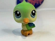 HUMMINGBIRD #208 - Littlest Pet Shop - Hasbro LPS