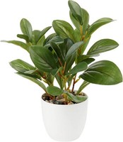 KüNstliche Kamelie Blumen Kunstpflanze Deko Seidenblumen 28Cm Home Hotel Green