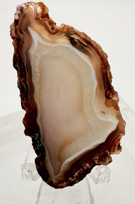 Moroccan Fortification Agate Polished Banded Slab 2.5 in 1.25 oz Natural Mineral
