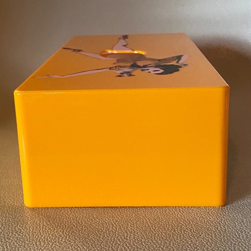 Funda de caja de pañuelos falda voladora para mujer con perro Jack Russell día del padre - Imagen 5 de 12