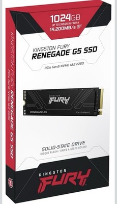 K02 Kingston Fury Renegade G5 1TB SFYR2S1T0 Gen 5.0 X5 - NVME 2280 M.2 SSD READ!