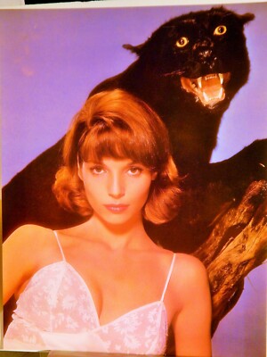 ELSA MARTINELLI 1963 / JOAN COLLINS 1954  PUBLICITY PHOTO HI-DEF(1987 reprint) 