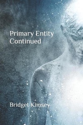 Primary Entity Continued by Bridget Kimsey Paperback Book