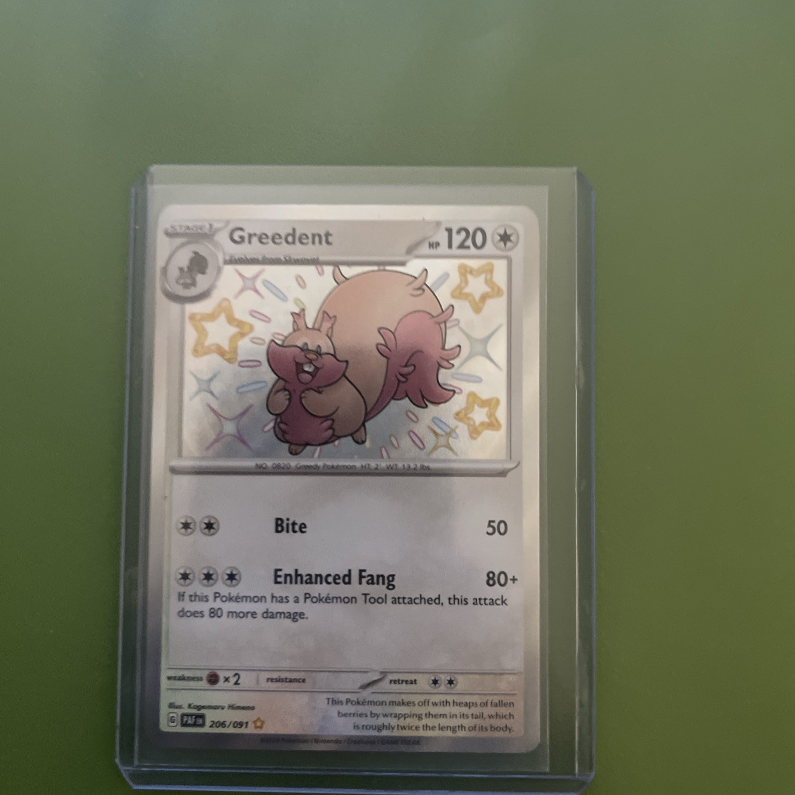 Holo Greedent 206/091 Shiny Rare Paldean Fates Pokemon TCG