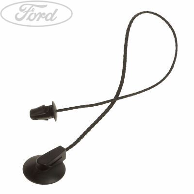 Original Ford Focus 2011-2020 Halteband Hutablage 1930212
