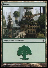 MTG Magic the Gathering Forest (304/306) Ravnica City of Guilds MP
