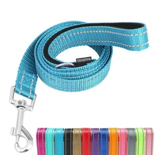6 FT Reflective Nylon Dog Leash with Padded Handle for Medium Large Dogs