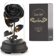 Forever Preserved Black Rose Birthday Gifts for Women,Eternal Flower Gifts for M
