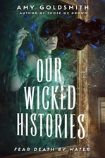 Our Wicked Histories by Amy Goldsmith Hardcover Book