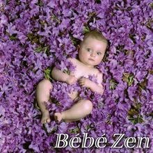 Bebe Zen von Bebe Zen | CD | Zustand sehr gut