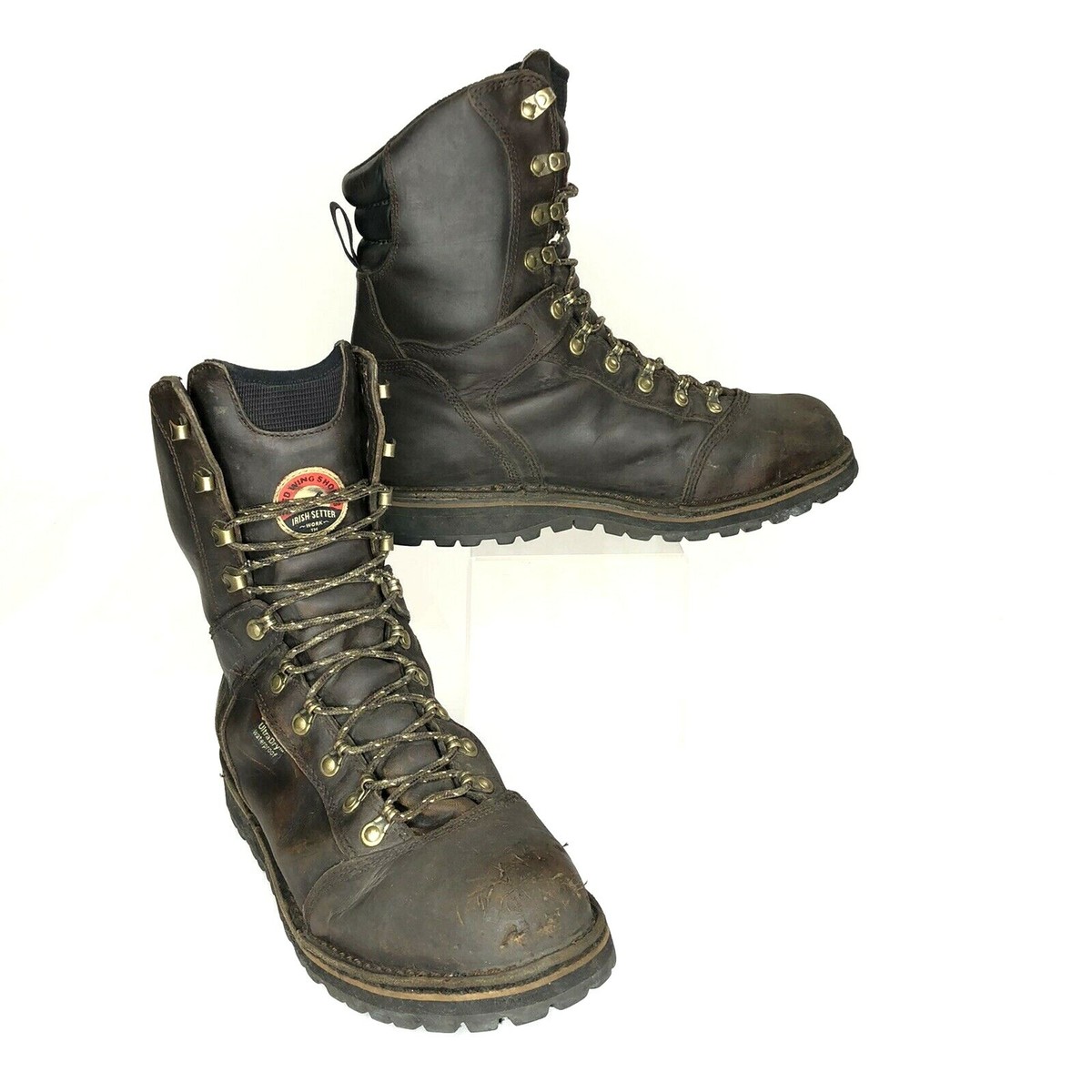 Irish Setter Men's 9