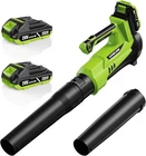 Cordless Leaf Blower 20V 650 CFM & 200 MPH Battery Powered Blower 6-Speed