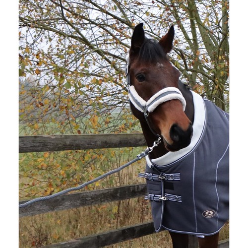 Ruggles 2m Polypropylene Lead Rope for Horse & Pony |Robust Trigger Clip - Picture 2 of 14