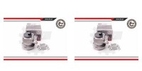 Esen SKV 2X Radnabe Radlagersatz Hinten FüR Fiat Scudo Kasten CitroëN Jumpy