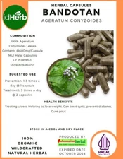 [idHerb] 100-500 Herbal CAPSULES Bandotan Ageratum Conyzoide Organic WildCrafted