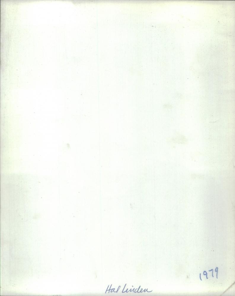 Bild 2 von 2