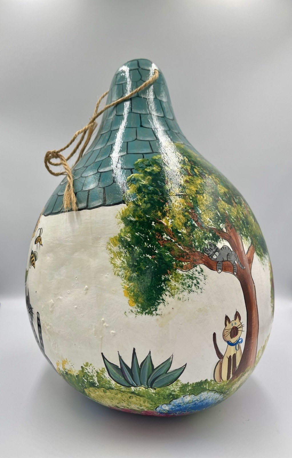 Foto 7 di 8