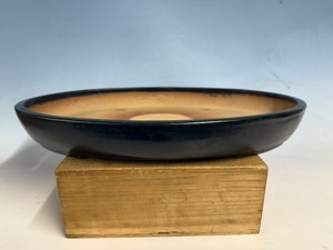 kaedebonsai-en | eBay Stores