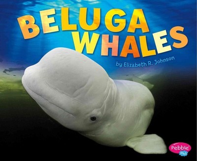 Beluga Whales by Elizabeth R. Johnson (English) Hardcover Book