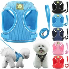 Pet Control Harness for Dog Cat Soft DOUBLE Mesh Walk Collar Safety Strap Vest