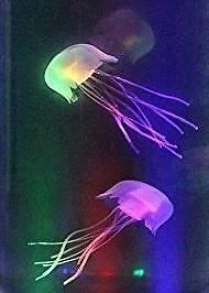 Replacement Fish Pack for Lightahead LED Mini Desktop Jellyfish Lamp 2 PIECE