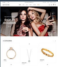 JEWELLERY DROPSHIPPING WEBSITE – WORDPRESS PREMIUM 300 PRODUCTS