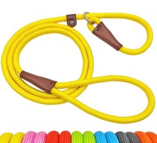 5 FT Slip Lead Dog Leash, Heavy Duty 1/2  Strong Nylon, Solid 7 Colors Tra