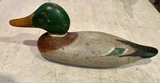 Mason Painted Eye Mallard