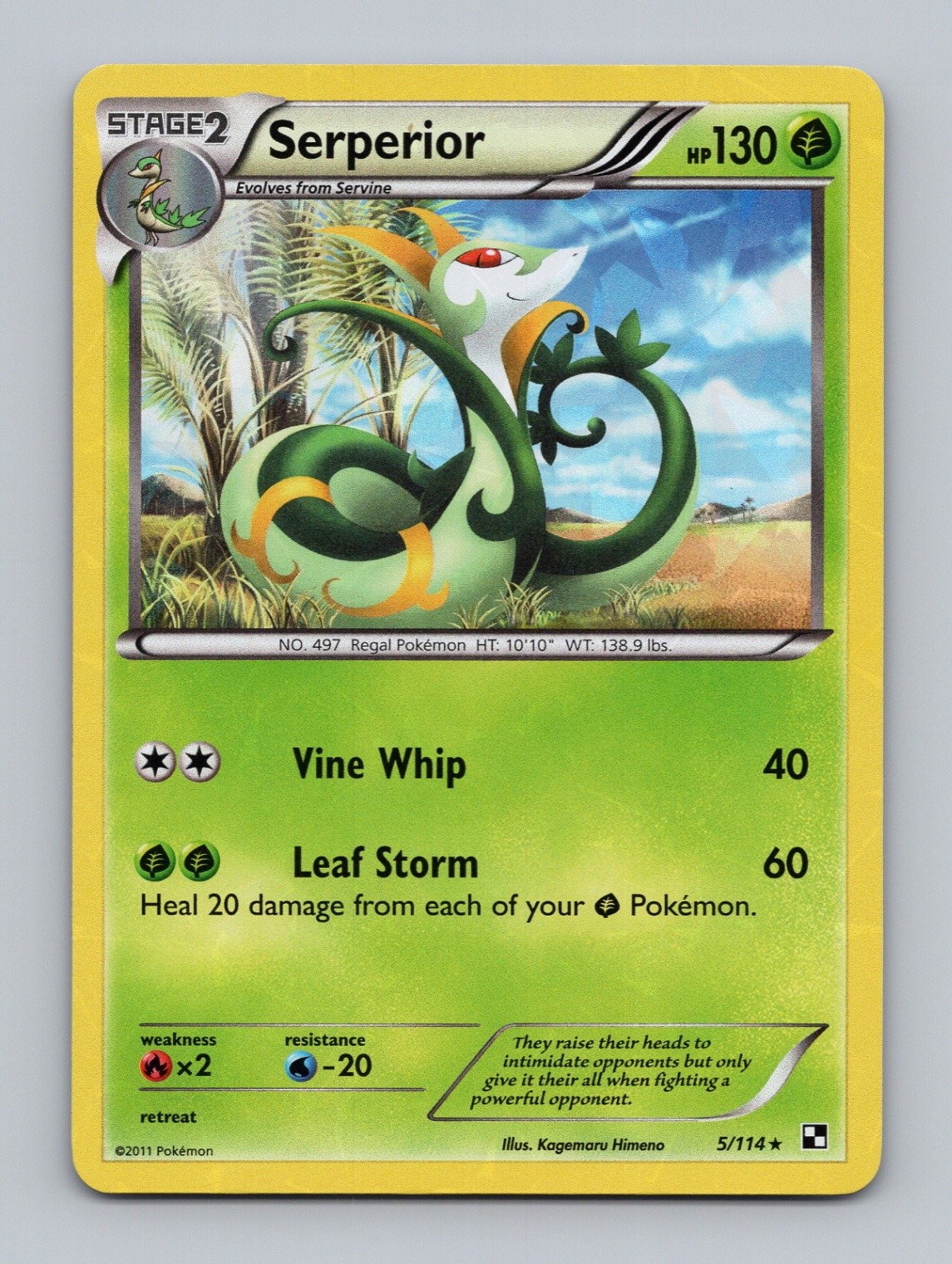 Serperior - 5/114 (Cracked Ice Holo) Holo Rare Deck Exclusives 005/114 LP