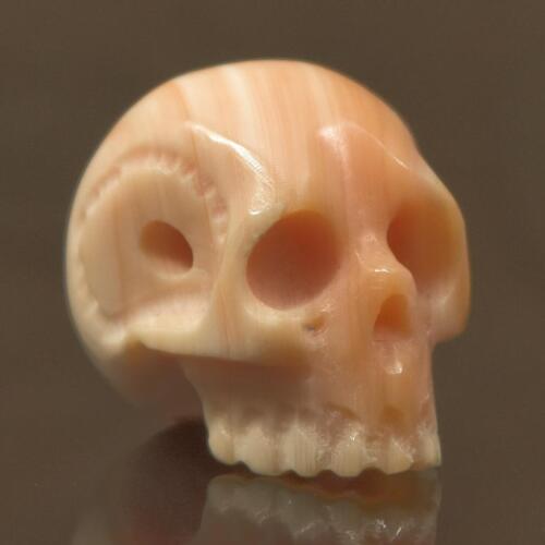 12.34mm Apricot Trumpet Shell Carving Bead Realistic Human Skull Handmade 1.77 g - Afbeelding 1 van 12