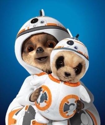 baby oleg bb8