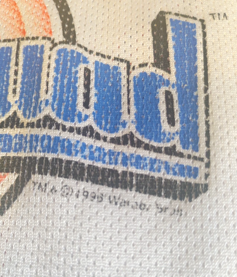 Camiseta Space Jam Tune Squad #9 Sylvester On Back Talla M 10-12 Campeón Juvenil Foto 2 de 4