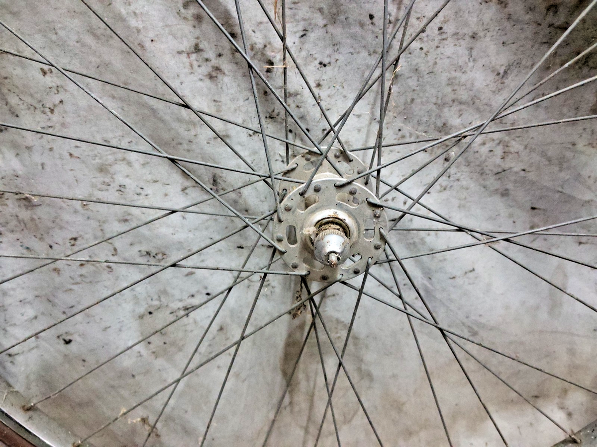 Schwinn 27