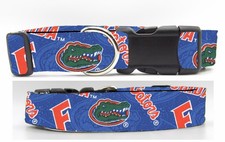 Florida Gators Dog Collar, UF Swamp, College, Sports, 3 sizes Available Handmade