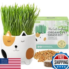 The Cat Ladies Cat Grass Kit - Organic, Indoor, Hairball Control, Digestive Aid