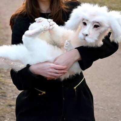 Falkor Fuchur Aus Der Unendlichen Geschichte Plüschpuppe Spielzeug Geschenk Für