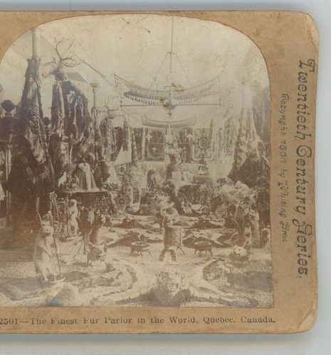 Feinster Pelzsalon der Welt Quebec Kanada Stereoansicht