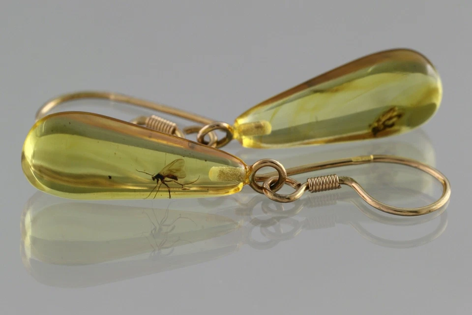 Pendientes colgantes genuinos ámbar báltico oro 14k insectos fósiles 2,1 g 200520-5 Foto 3 de 4