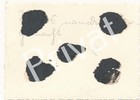 Photo 2/2