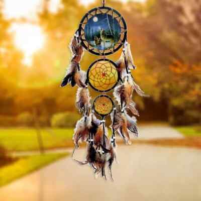 Jiyamony Turquoise Dream Catcher - Handmade Wall Hanging Decor For Bedroom With Car Charm Gift