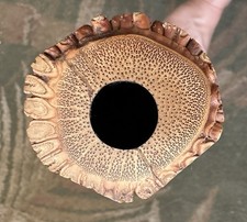 30 OFF LUNAR NEW YEAR PRO SHAKUHACHI BAMBOO FLUTE GYOKUSUI 1.6 Perry Yung