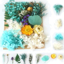 Nat&uuml;rliche Trockenblumen Set Bastel Blumen Deko DIY Karten Kerzen Geschenk